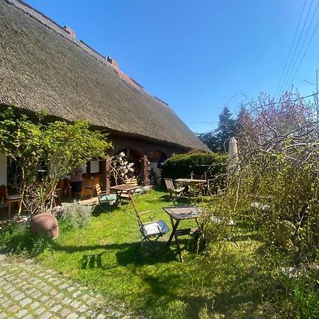 Fischerhaus Galenbeck Bed & Breakfast ภายนอก รูปภาพ
